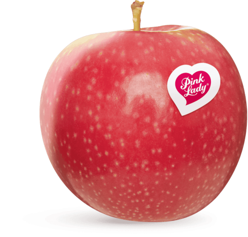 macapinkladykg