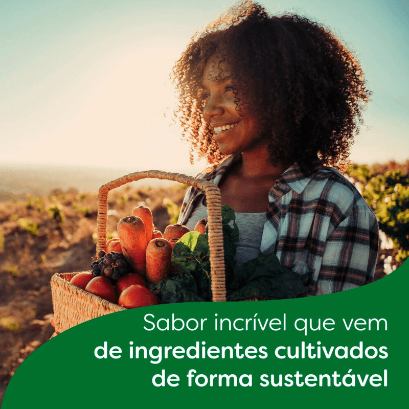 tempero-po-para-arroz-knorr-pacote-50g-10-unidades