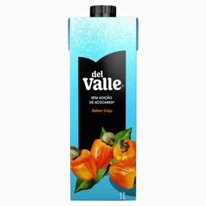 Néctar Caju Del Valle Caixa 1L
