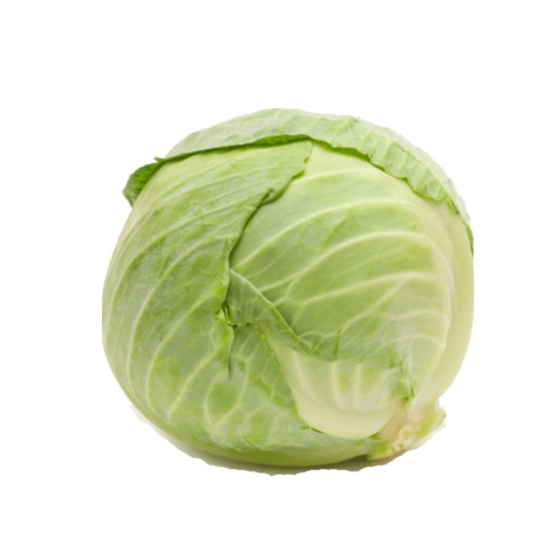 repolhoorganico