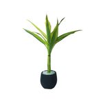 bambu