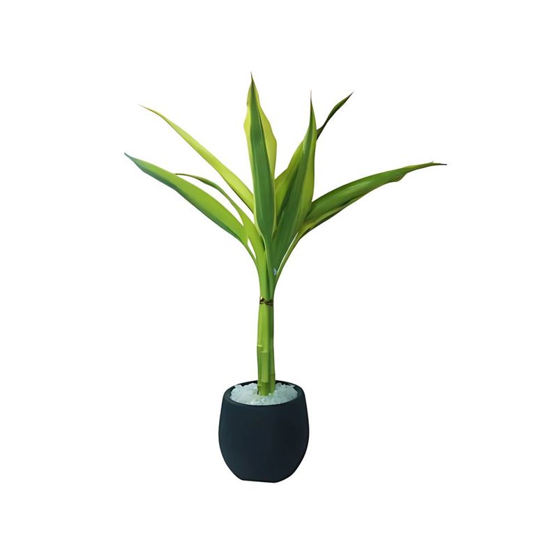 bambu
