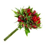 alstroemeria