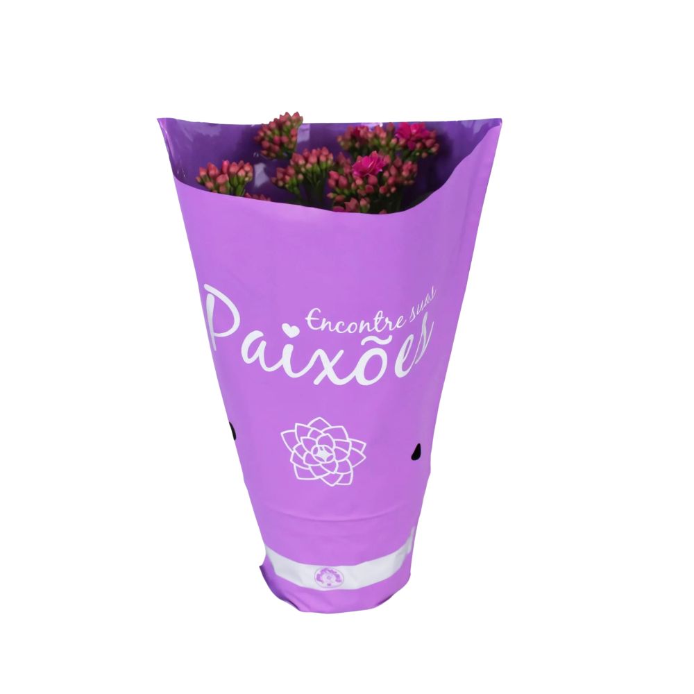 Flor Kalanchoe Dobrado Paixões Pote Nº11 Unidade