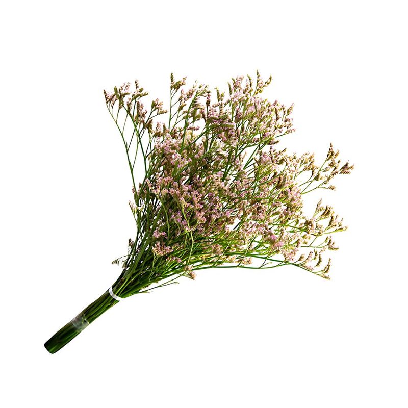 LIMONIUM