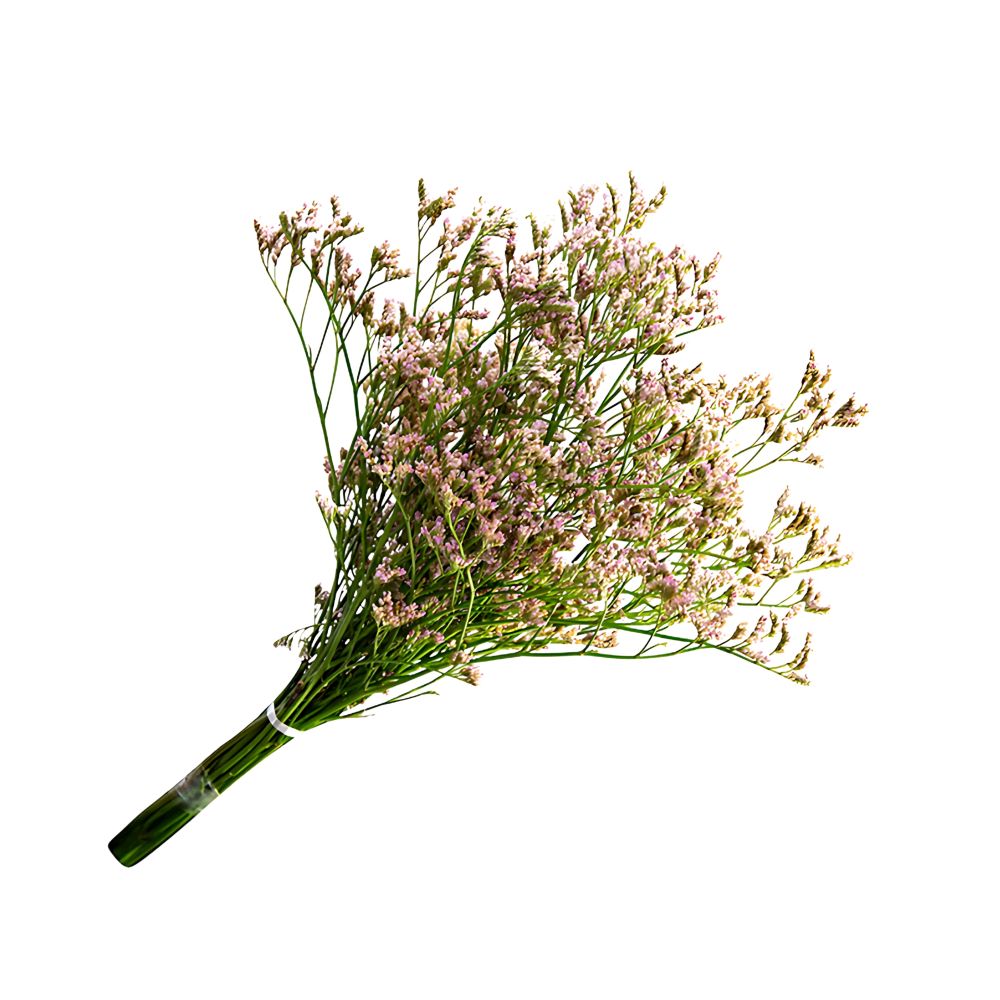 Flor Limonium Variado Maço