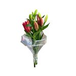 flor-lirio