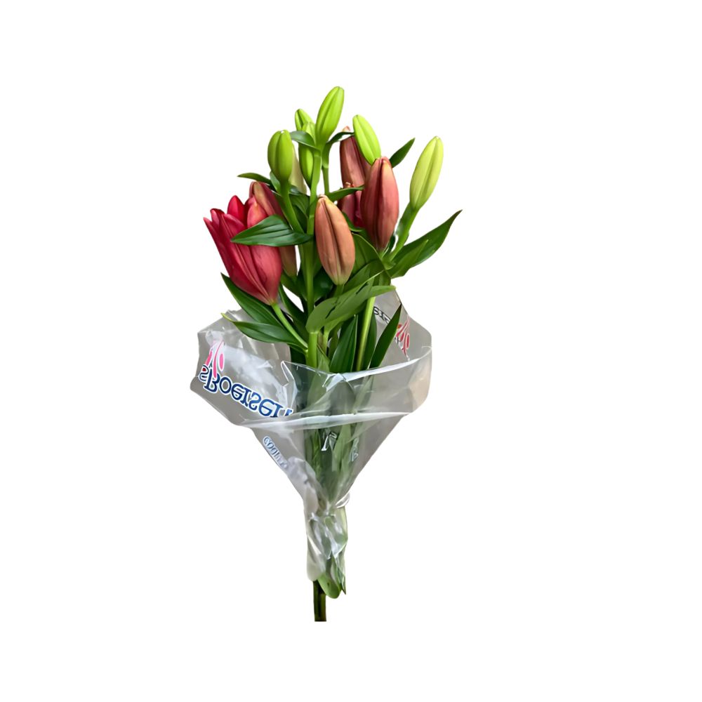 Flor Lírio Variado Premium Maço