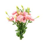 lisianthus