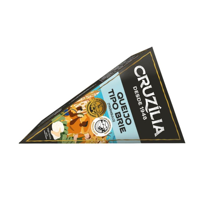 queijo-brie-cruzilia.jpg