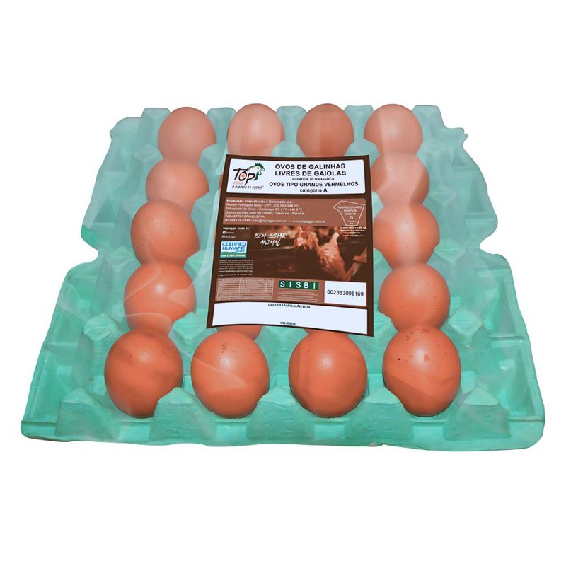 ovos top eggs vermelhos galinhas livres 20uni.jpg