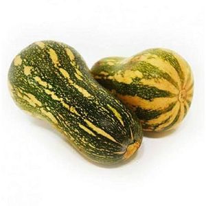 Abóbora Seca Aproximadamente 1.8kg/un