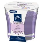 vela-perfumada-relax-lavender-glade-home-fragrance-vidro-96g-7894650013458-1-jpg