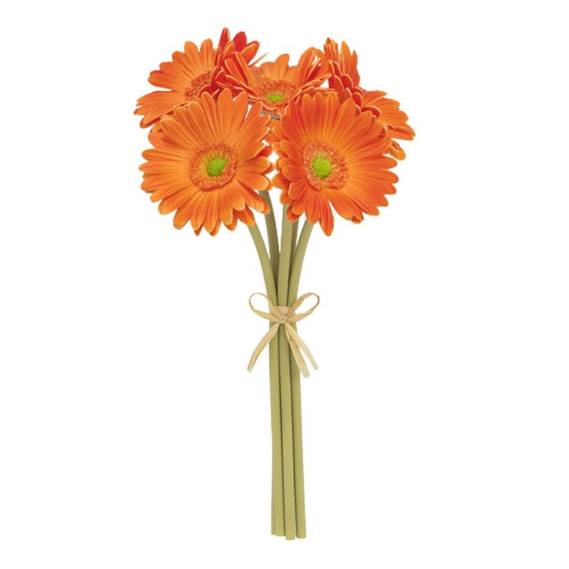 flor-gerbera-variada-maco-3-jpg