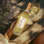 vinho-italiano-asio-otus-chardonay-750ml-8053303275349--2-.jpg