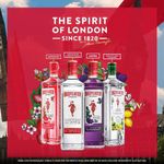 5000299618394-GinBeefeaterBlackberry-700ml-6.jpg