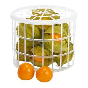 Fruta Physalis Pote 100g