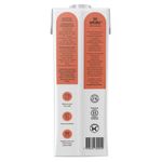 bebida-a-base-de-aveia-a-tal-da-castanha-caixa-1l-7898692300040-1