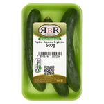 Pepino-Japones-Organico-RBR-Bandeja-500g