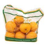 Laranja-Importada-Salute-Pacote-15kg