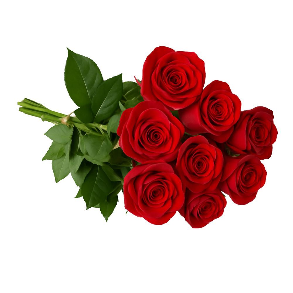 Flor Rosa Cores Variadas Maço