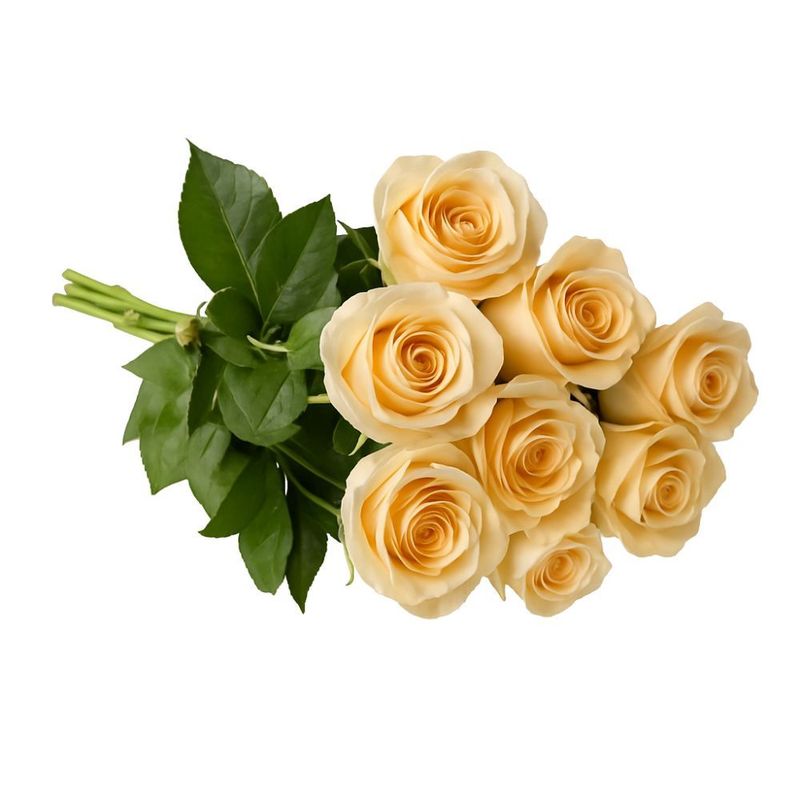 Flor Rosa Cores Variadas Maço