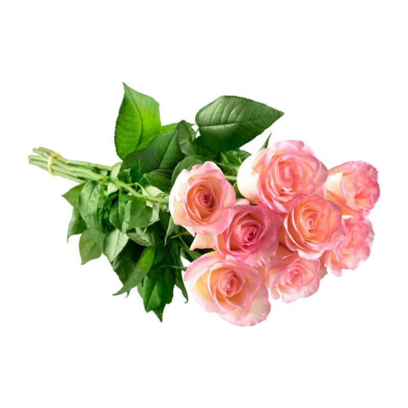 Flor Rosa Cores Variadas Maço