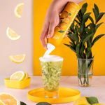 Espuma Preparada de Limão Siciliano para Drinks BeGin Spices 240g