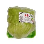 Alface Americana Orgânicos do Sul Nature agro 150g