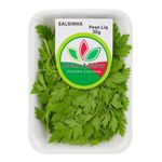 Salsinha Fresca Aroma & Sabor Bandeja 30g