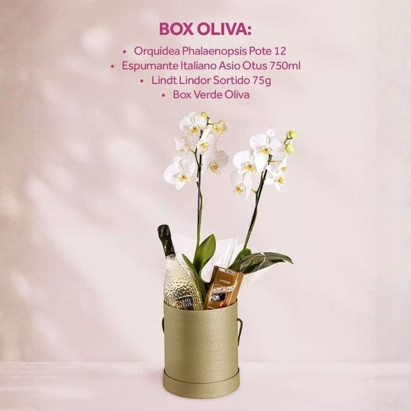 Kit Box Oliva Unidade