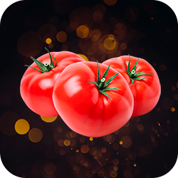 Hortifruti